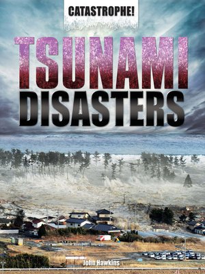 cover image of Tsunami Disasters